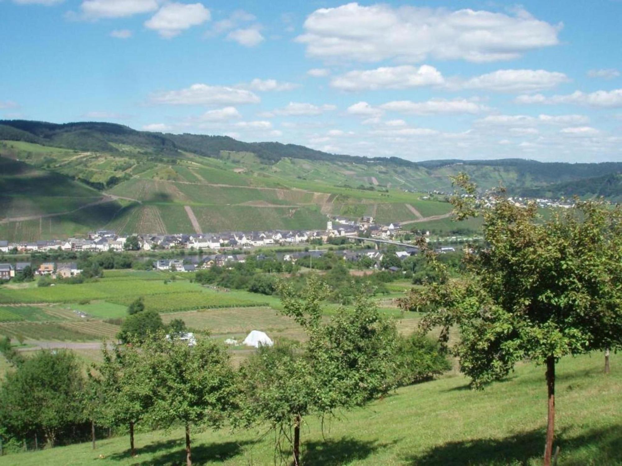 Sch Ne Wohnung In Der Moselregion Kinheim Exterior photo